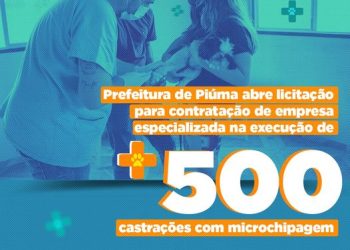 Piúma: Prefeitura abre licitação para mais 500 castrações com microchipagem