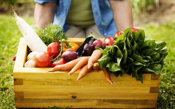 Guarapari: Prefeitura promove Semana da Melhor Nutrição
