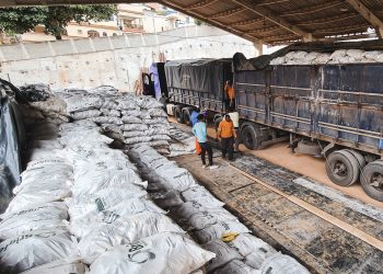 Kennedy: Prefeitura distribui feno prensado para ajudar pecuaristas