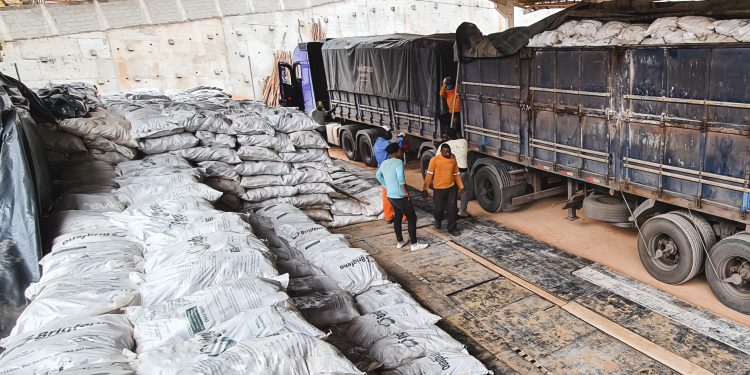 Kennedy: Prefeitura distribui feno prensado para ajudar pecuaristas