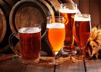 Anchieta: Festival de cervejas artesanais e feira de negócios turísticos animam Iriri
