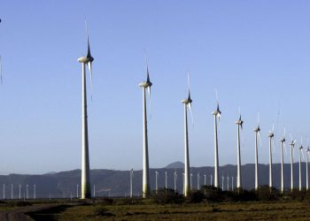 Brasil:  Brasileiros usarão COP27 para atrair investimentos em energia verde