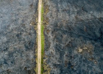 Guarapari: Segundo maior incêndio da história do Parque Paulo César Vinha é extinto após 34 dias