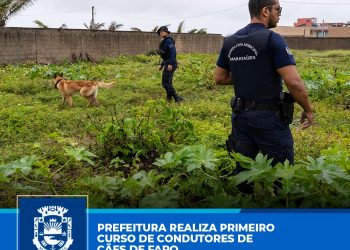 Marataízes: Prefeitura faz o primeiro curso de condutores de cães de faro