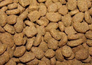 Piúma: Prefeitura abre inscrições para fornecedores de ração animal