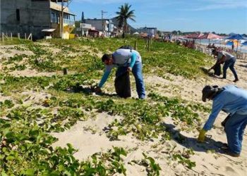 Itapemirim: Prefeitura promove o projeto Minha Praia é Limpeza