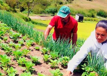 Anchieta: Merenda escolar pode contar com produtos da Agricultura Familiar