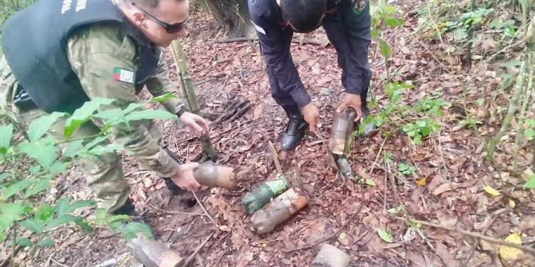 Anchieta: Guarda Municipal apreende armadilhas de cata ilegal de caranguejos e guaiamuns