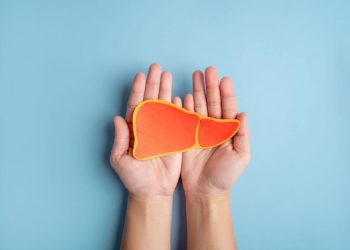 Saúde: Conheça as funções e as doenças que afetam o fígado