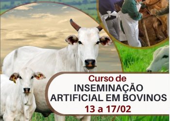 Iconha: Prefeitura promove curso de Inseminação em Bovinos