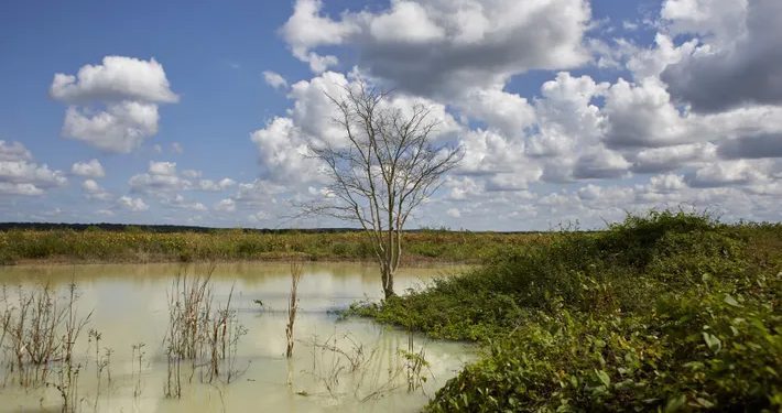 Mundo: Sete ações para combater a contaminação ambiental