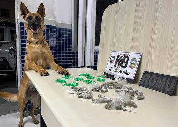Polícia: K9 do 4º Batalhão e Guarda Municipal apreendem drogas em Vila Velha