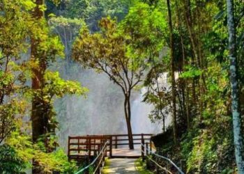 Alfredo Chaves: Parque Ecológico Cachoeira de Matilde começa a cobrar taxa de R$5,00 por visitante