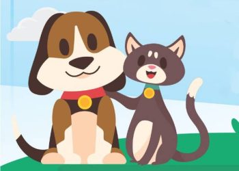 Guarapari: CCZ disponibiliza animais para adoção