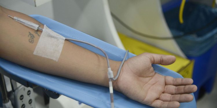 Brasil: Inca faz pedido de doações de plaquetas no pós carnaval