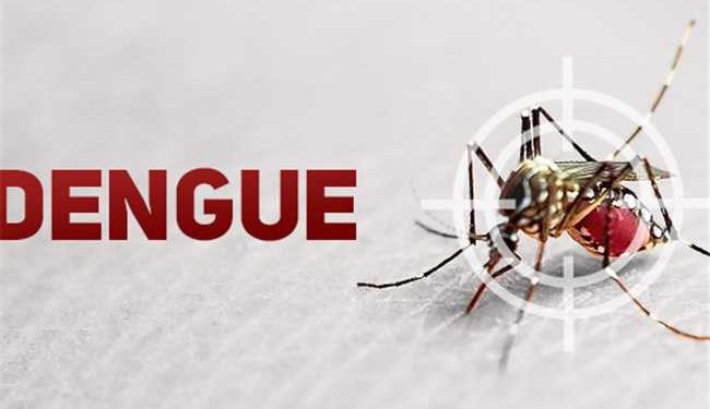 Itapemirim: Todos contra a Dengue