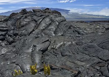 Mundo: A natureza tem mistérios que não conhecemos