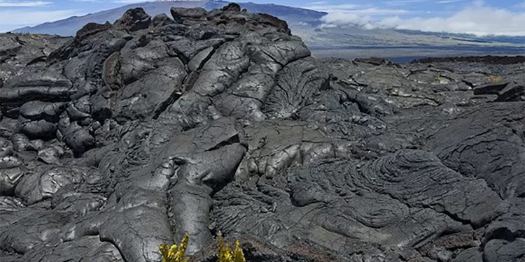 Mundo: A natureza tem mistérios que não conhecemos