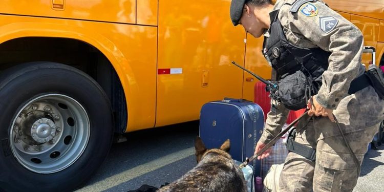 Polícia: Batalhão de Ações com Cães faz operação de fiscalização nos terminais de ônibus interestaduais
