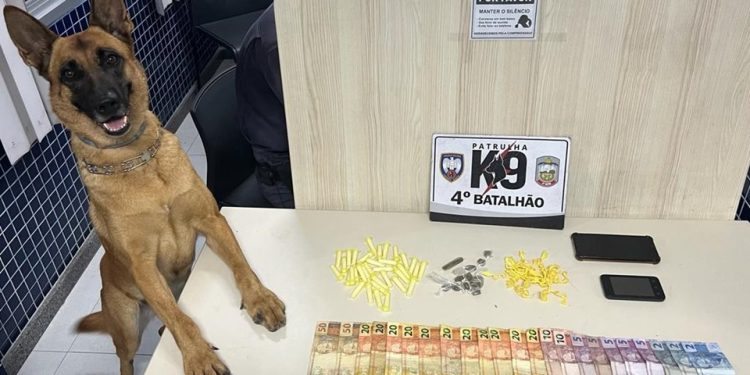 Polícia: K9 do 4º BPM apreende drogas em Vila Velha