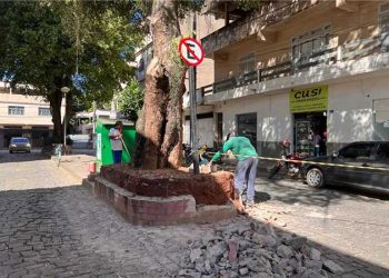 Alfredo Chaves: Prefeitura revitaliza canteiros centrais da alameda José Seme