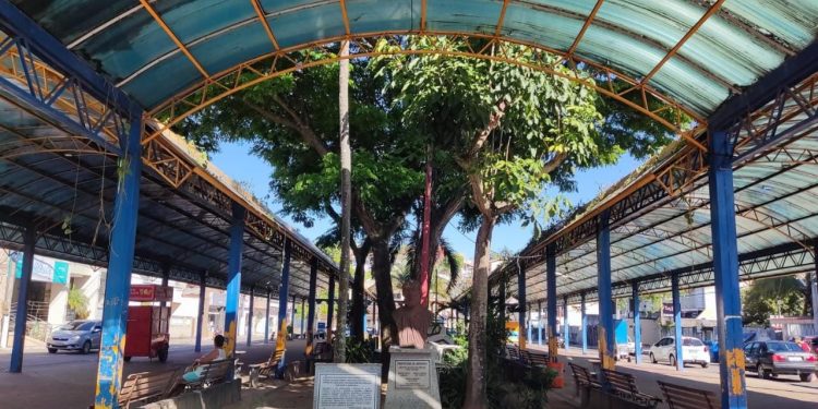 Anchieta: Praça São Pedro de Anchieta será revitalizada