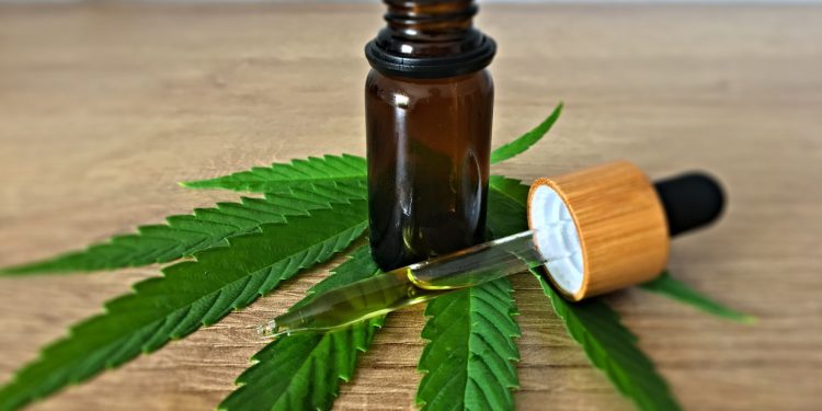 Brasil: Justiça autoriza mulher que sofre de dores a plantar e usar cannabis