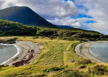 Mundo: Chile anuncia corredor biológico para proteger cervos ameaçados