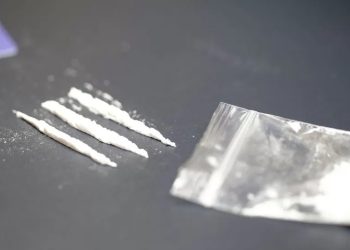 Mundo: Produção de cocaína atinge níveis recordes