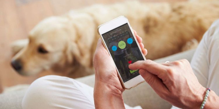 Especial: Quem tem um pet em casa precisa desses 5 aplicativos