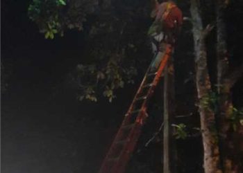 Itapemirim: Prefeitura faz mutirão de troca de lâmpadas em várias comunidades