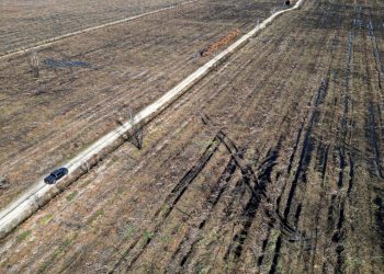 Mundo: Sudoeste da França devastado se prepara para os incêndios que virão