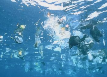 Mundo: Oceanos têm 171 trilhões de pedaços de plástico