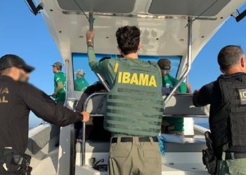 Brasil: PF apreende 60 toneladas de pescado ilegal no Rio de Janeiro