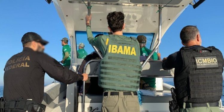 Brasil: PF apreende 60 toneladas de pescado ilegal no Rio de Janeiro