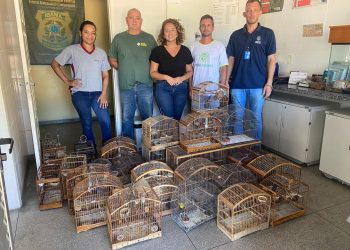 Piúma: Fiscalização apreende 31 aves silvestres em situação irregular