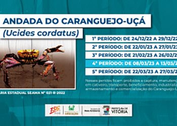 Vitória: Abordagens educativas orientam sobre a andada do caranguejo