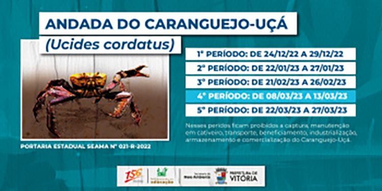 Vitória: Abordagens educativas orientam sobre a andada do caranguejo