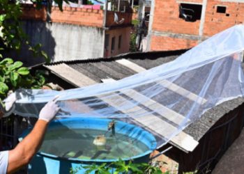 Vitória: Sábado (11) é dia de mutirão de combate ao mosquito