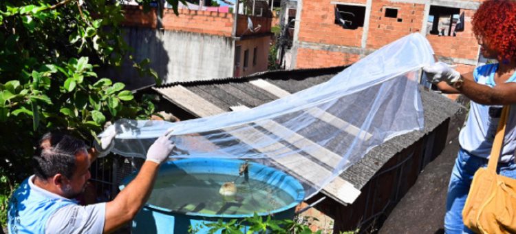 Vitória: Sábado (11) é dia de mutirão de combate ao mosquito