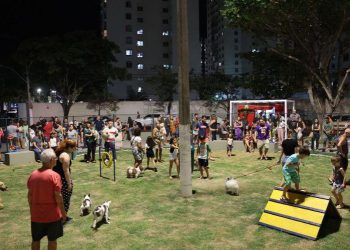 Vila Velha: Praças com opções para brincadeiras dos pets