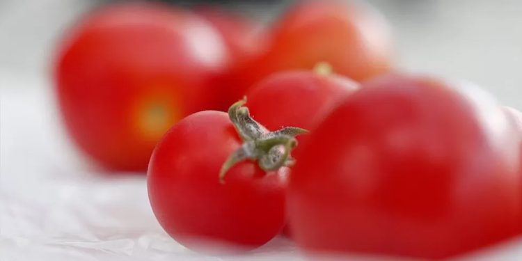 Mundo: Inglaterra libera consumo de comida geneticamente editada