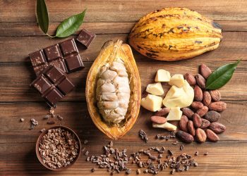 Páscoa: Curiosidades sobre o cacau e o chocolate
