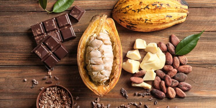 Páscoa: Curiosidades sobre o cacau e o chocolate