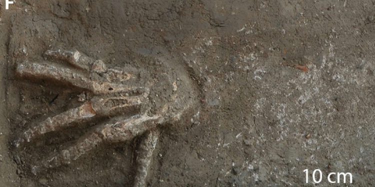 Mundo: Arqueólogos encontram troféus de guerra macabros no Egito