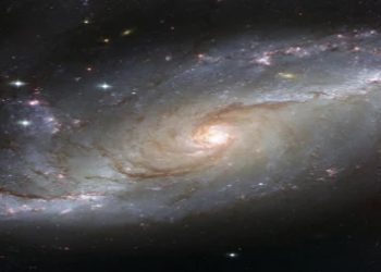 Mundo: As maiores estrelas do universo conhecido