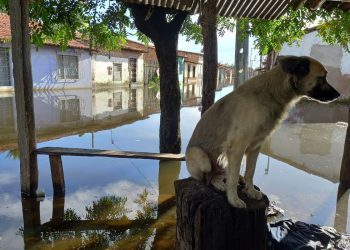 Brasil: Fortes chuvas voltam a atingir o litoral sul da Bahia