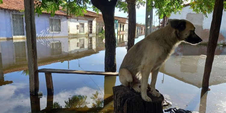 Brasil: Fortes chuvas voltam a atingir o litoral sul da Bahia