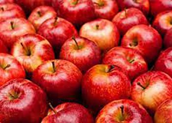 Saúde: A maçã é tão poderosa quanto uma xícara de café