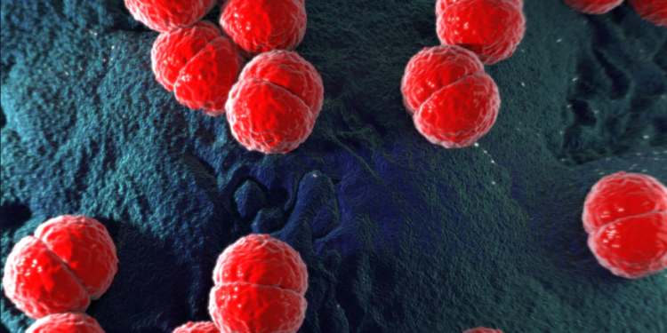 Marataízes: Criança de morre por meningite meningocócica